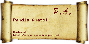 Pandia Anatol névjegykártya